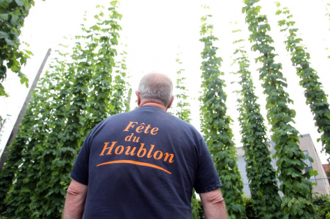 Image fête du houblon