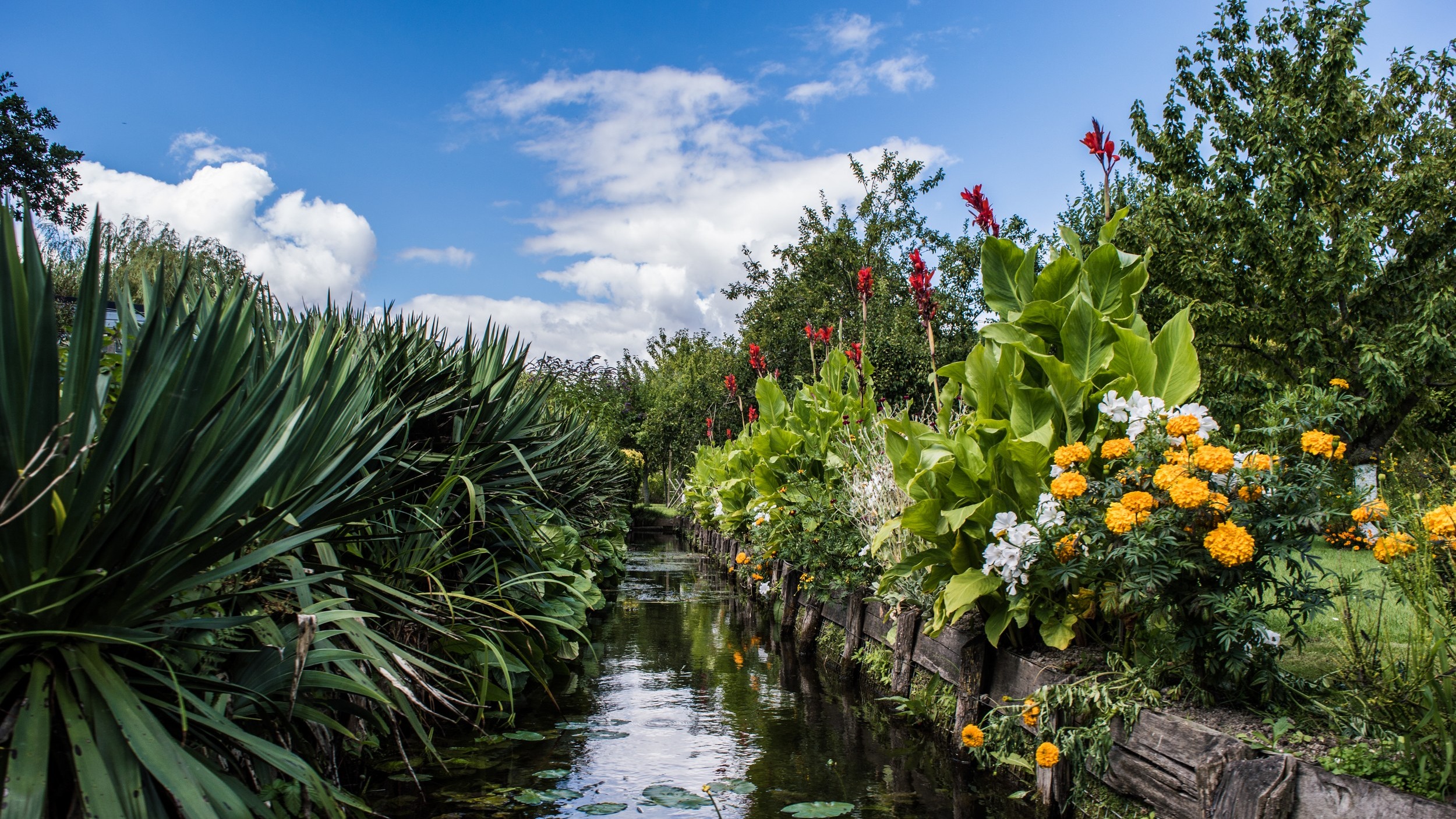 Hortillonnages d'Amiens